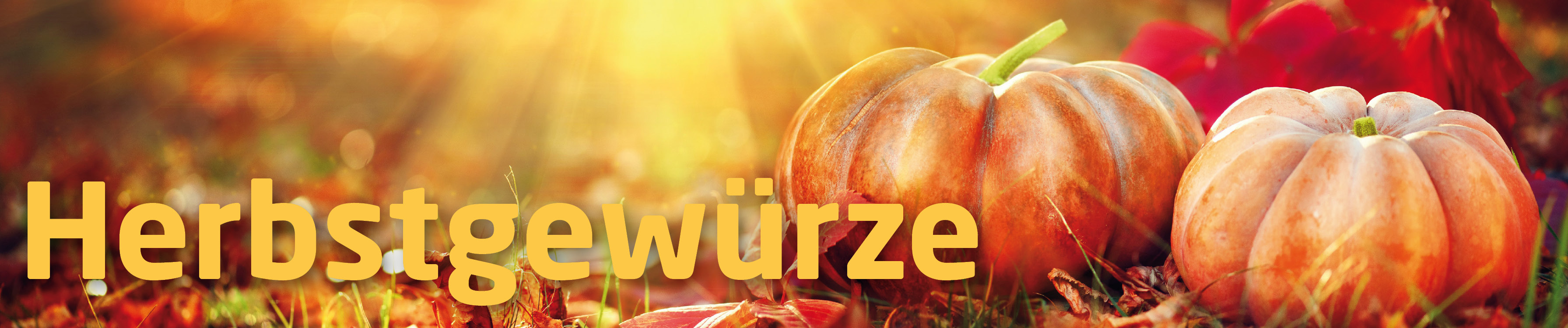Gewürz Kontor Gewürz Kontor