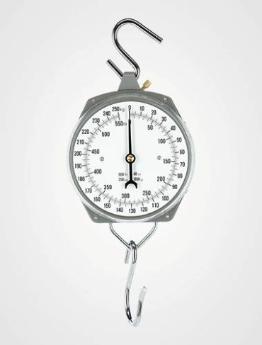 Zeiger-Hängewaage bis 250kg Wägeunterteillung 1kg, ungeeicht