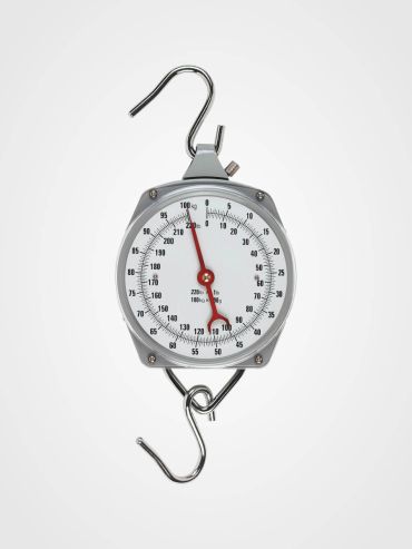 Zeiger Hängewaage bis 100kg Wägeunterteillung 500g ungeeicht